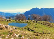 Ai faggi secolari del Menna dal Passo dell’orso ad anello da Zorzone – 27ott25   -  FOTOGALLERY